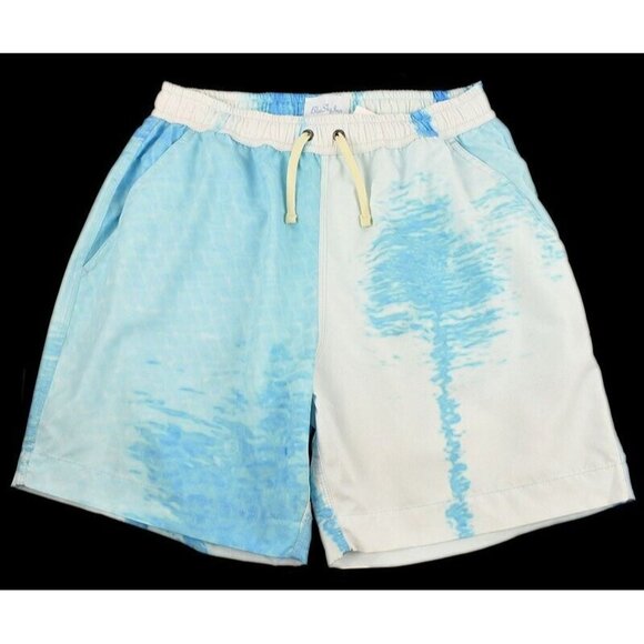 BLUE SKY INN Mens Aqua Palms Swim Trunks SMALL Built in Mesh Brief NWT - Picture 1 of 2